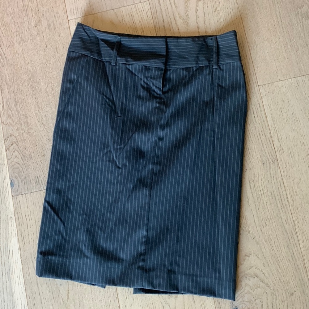 Express skirt